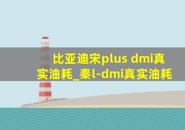 比亚迪宋plus dmi真实油耗_秦l-dmi真实油耗